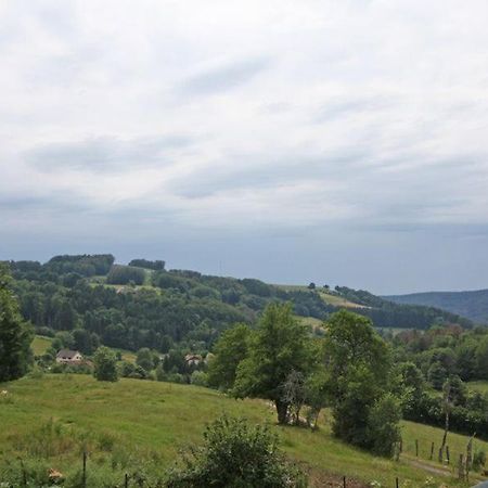 Gite Le Petit Sauceley Faymont Exterior foto